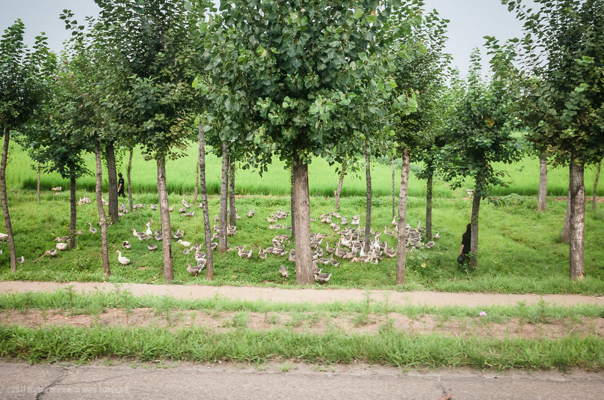 I Went To North Korea And Outside Of Pyongyang I Went To North Korea And Outside Of Pyongyang