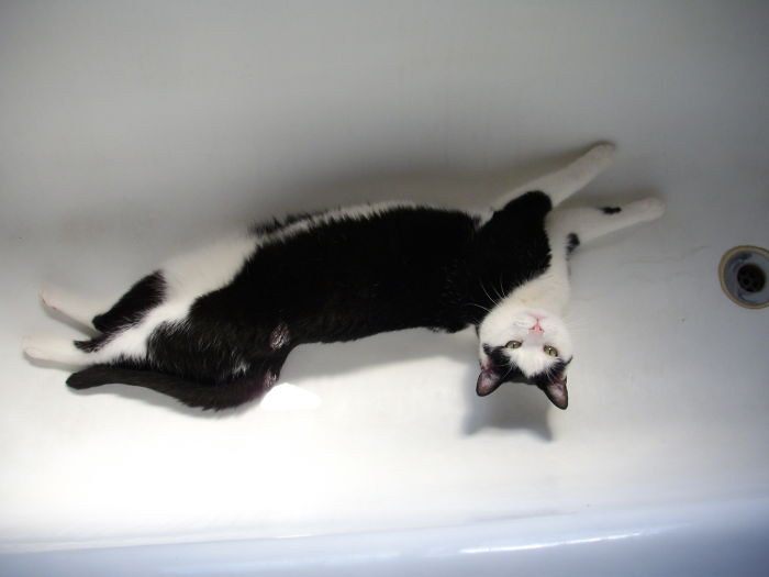 What Do You Mean It's Not Bathing If There's No Water?