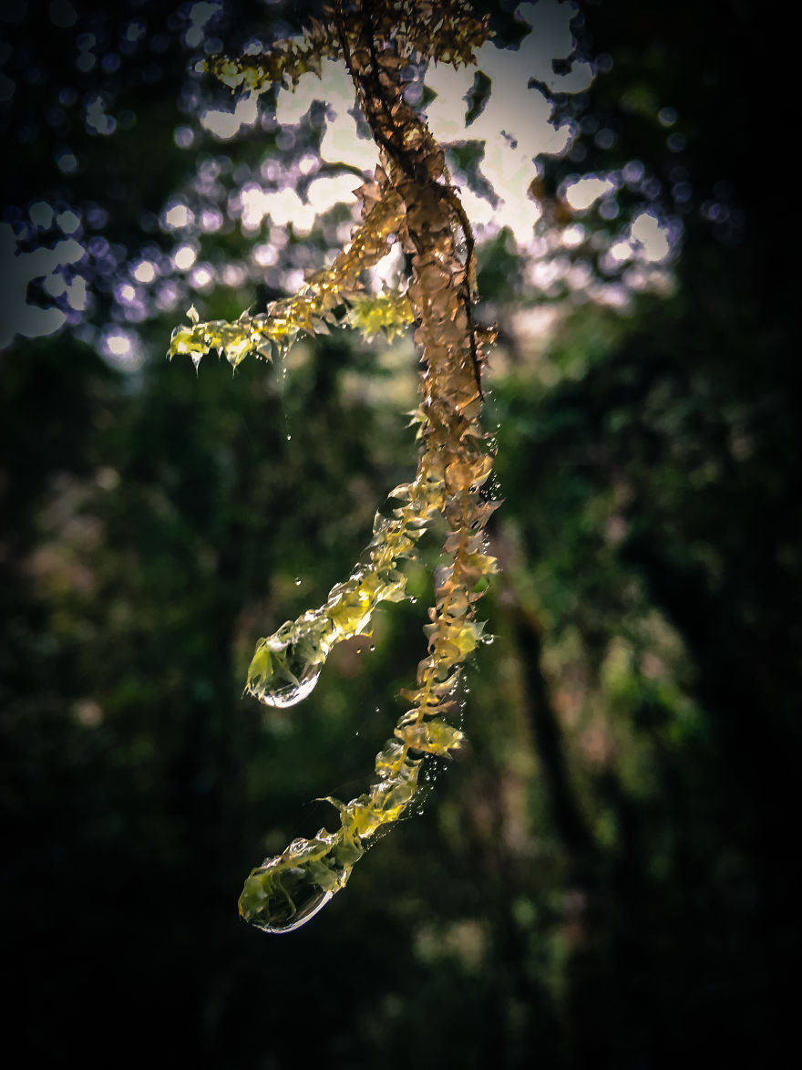 We Hiked The 10th Highest Mountain In The Philippines For 3 Days We Hiked The 10th Highest Mountain In The Philippines For 3 Days