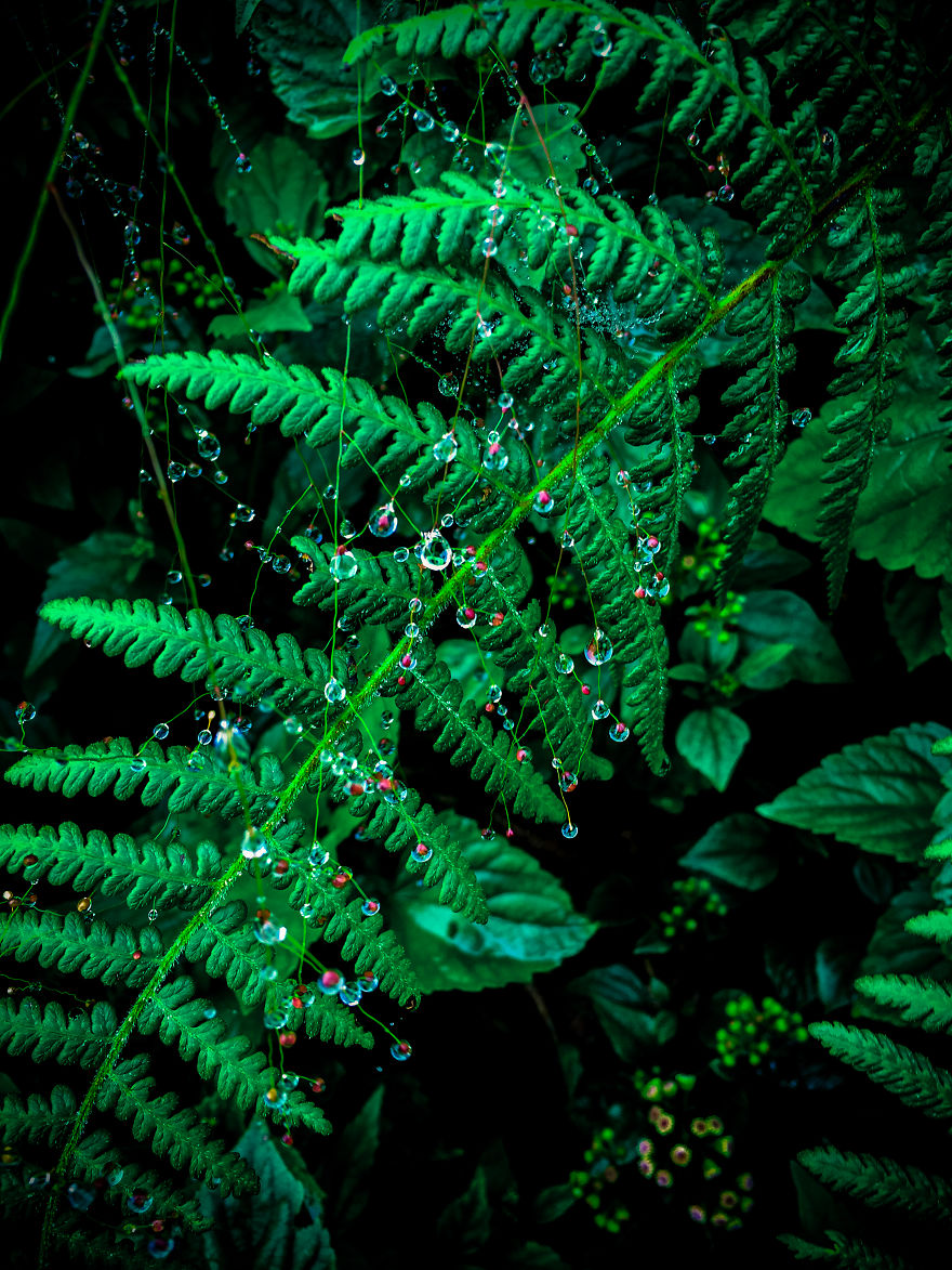 We Hiked The 10th Highest Mountain In The Philippines For 3 Days