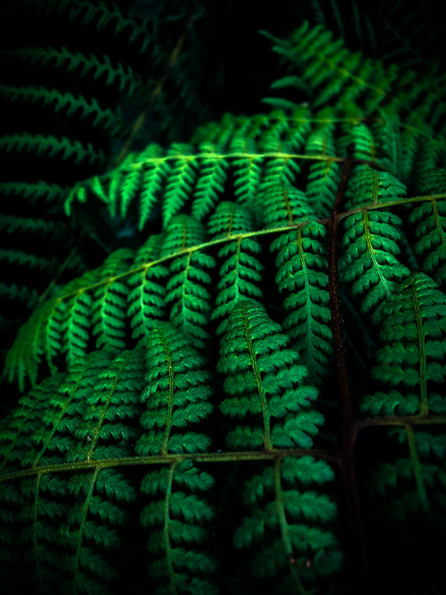 We Hiked The 10th Highest Mountain In The Philippines For 3 Days We Hiked The 10th Highest Mountain In The Philippines For 3 Days