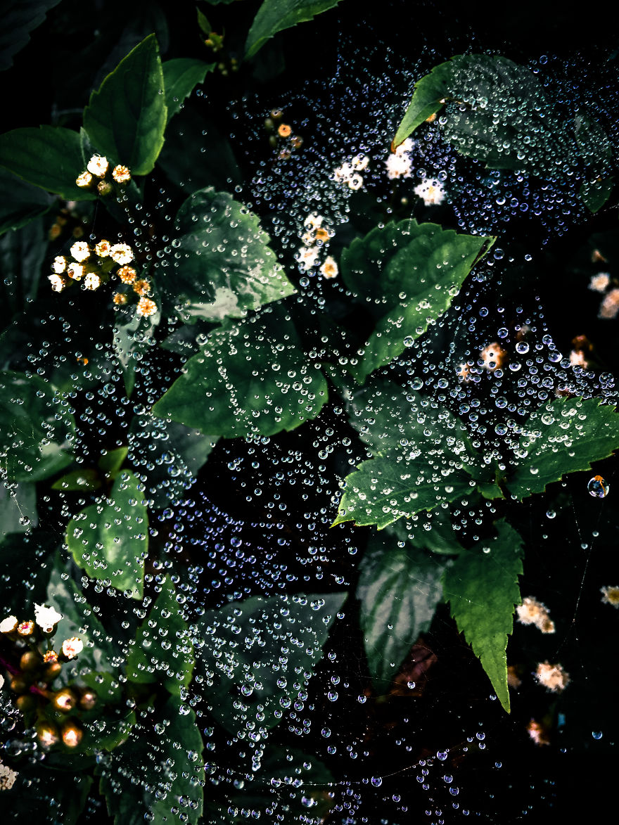 We Hiked The 10th Highest Mountain In The Philippines For 3 Days We Hiked The 10th Highest Mountain In The Philippines For 3 Days