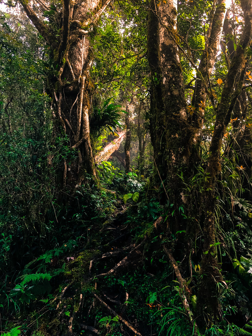 We Hiked The 10th Highest Mountain In The Philippines For 3 Days