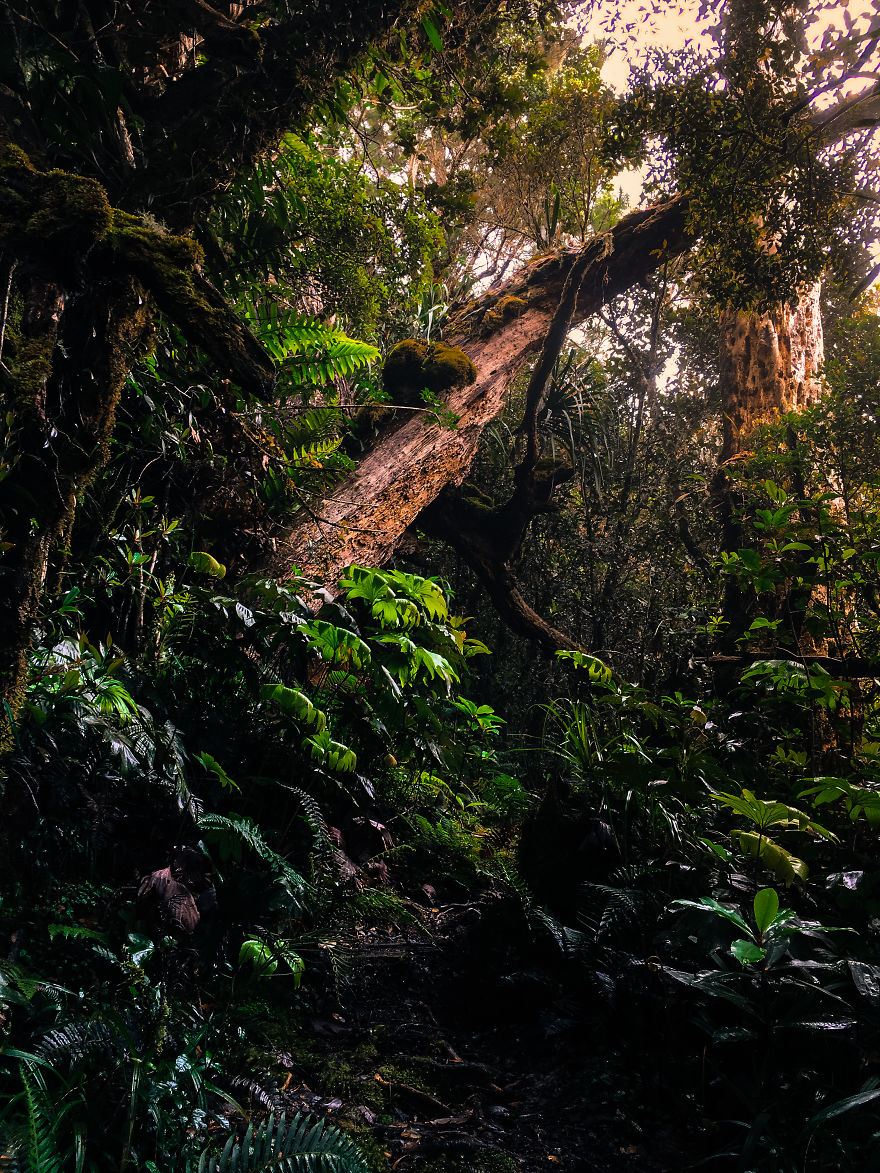 We Hiked The 10th Highest Mountain In The Philippines For 3 Days