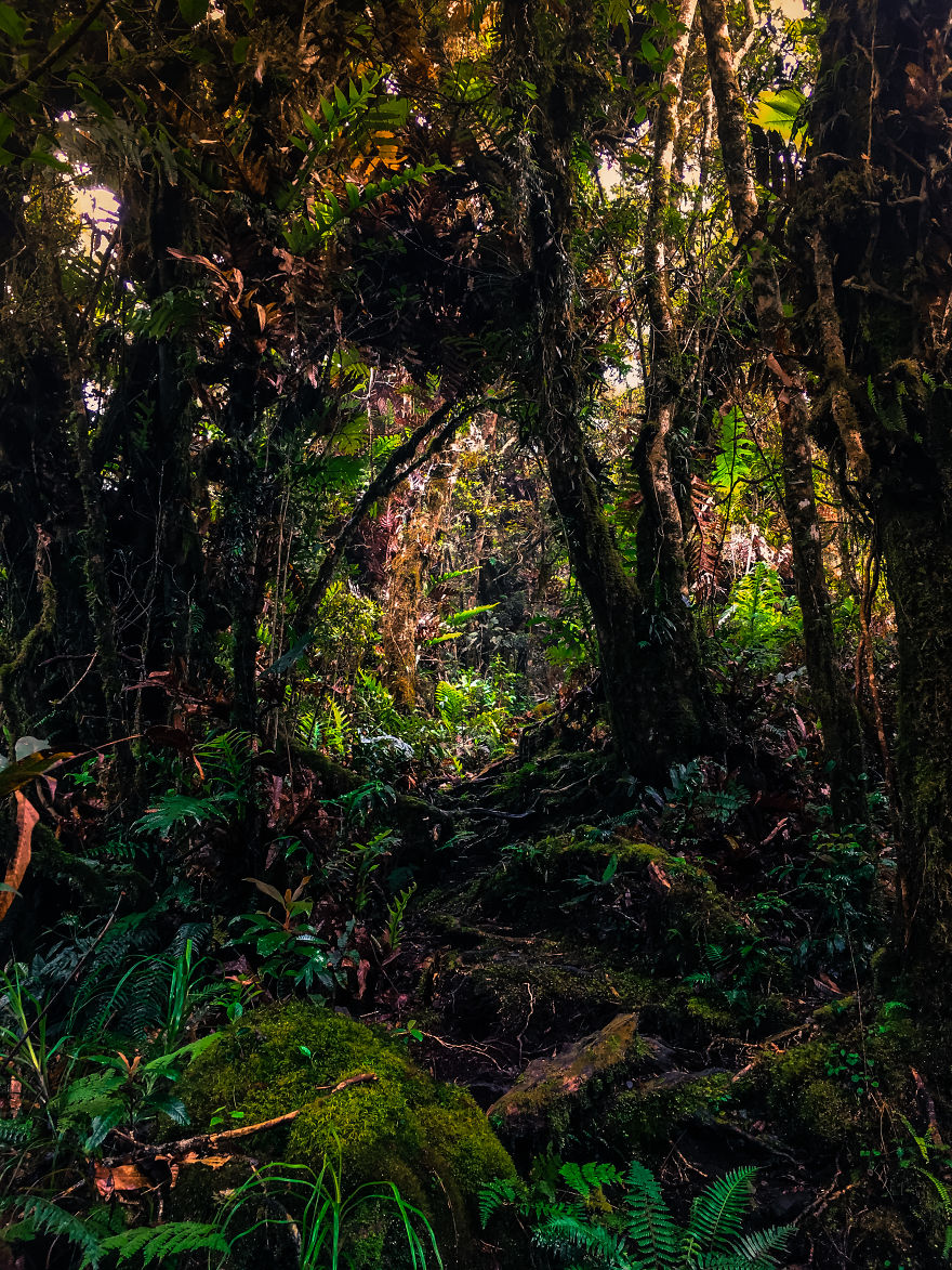We Hiked The 10th Highest Mountain In The Philippines For 3 Days