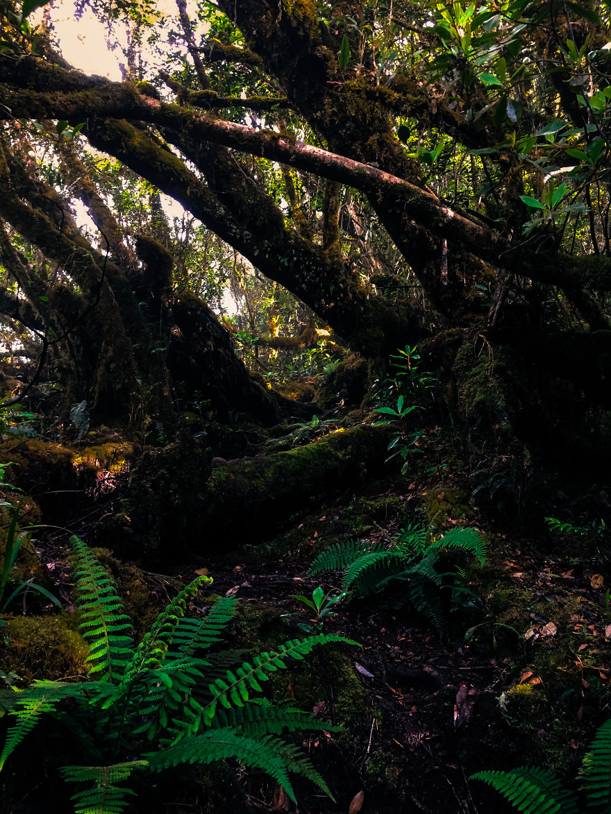 We Hiked The 10th Highest Mountain In The Philippines For 3 Days