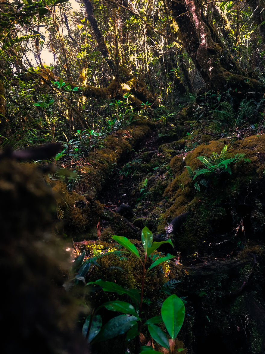 We Hiked The 10th Highest Mountain In The Philippines For 3 Days