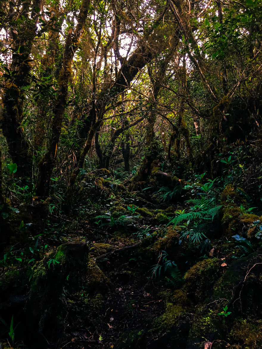 We Hiked The 10th Highest Mountain In The Philippines For 3 Days We Hiked The 10th Highest Mountain In The Philippines For 3 Days