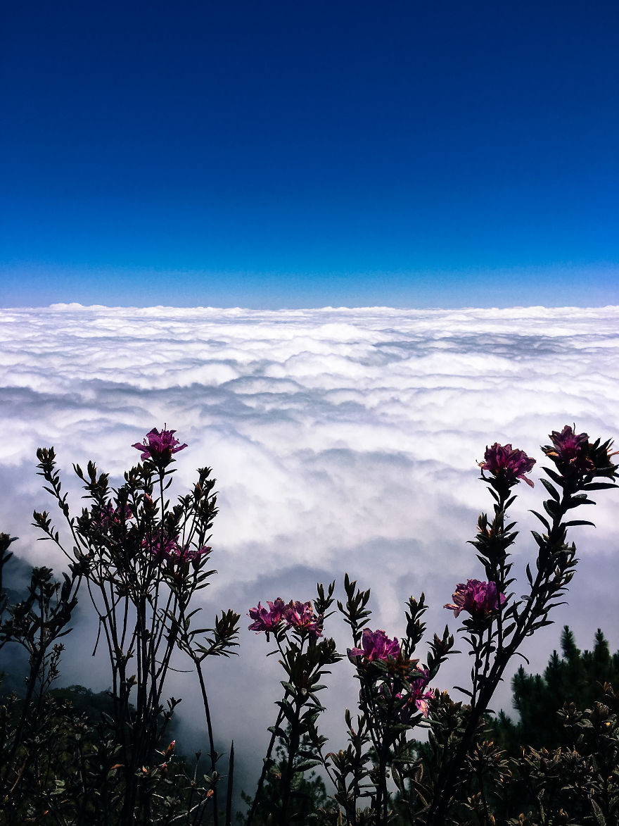 We Hiked The 10th Highest Mountain In The Philippines For 3 Days We Hiked The 10th Highest Mountain In The Philippines For 3 Days