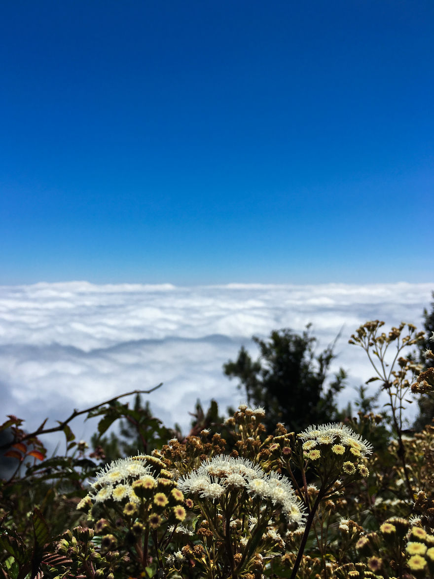 We Hiked The 10th Highest Mountain In The Philippines For 3 Days We Hiked The 10th Highest Mountain In The Philippines For 3 Days