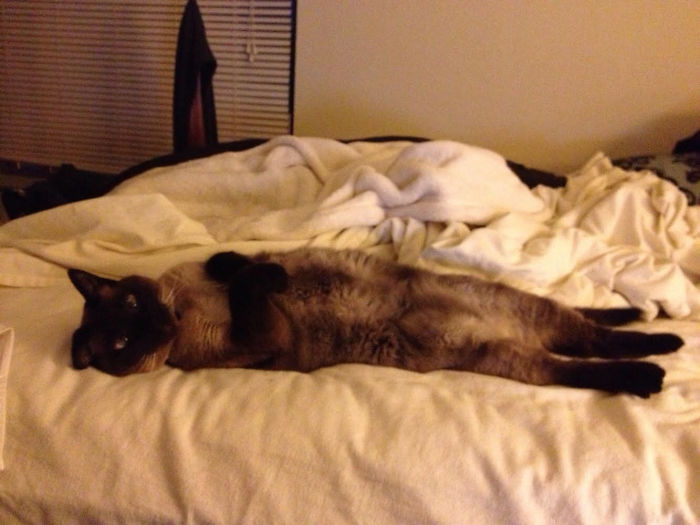 Draw Me Like One Of Your French Girls, Jack