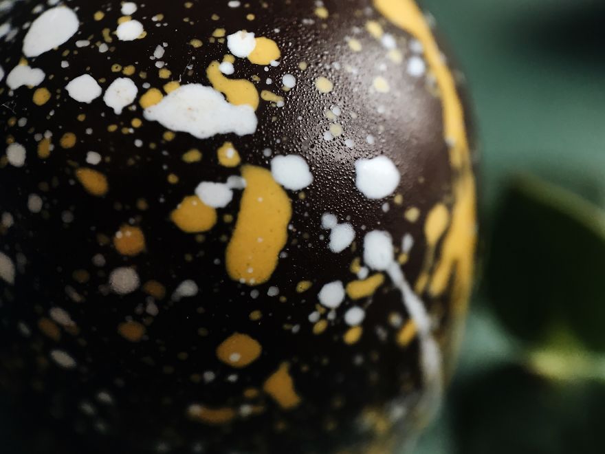 I Make The Unique Macrofood Photo Project Just With An Iphone