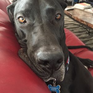 stephaniesamson avatar