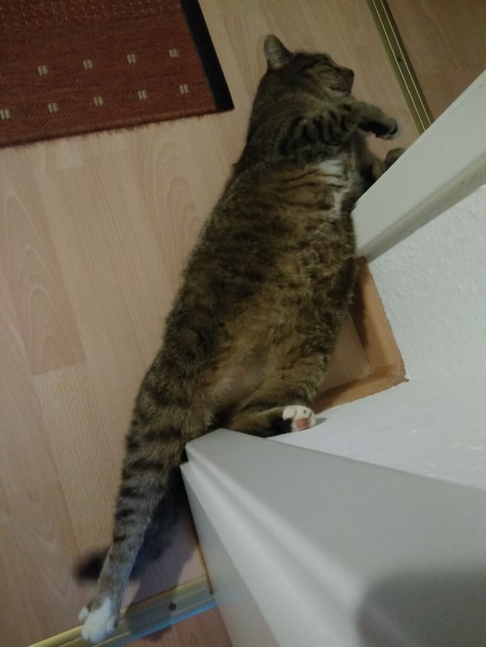 Ballerina At The Wall...