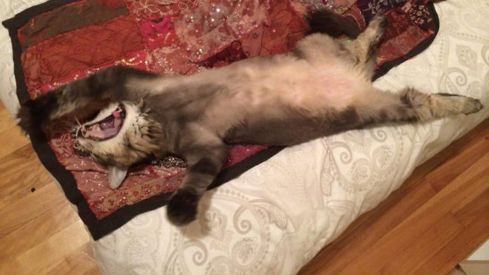 I'm Going To Swallow The World!