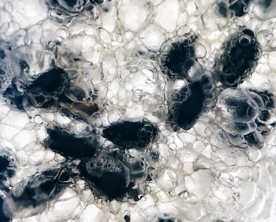 I Make The Unique Macrofood Photo Project Just With An Iphone