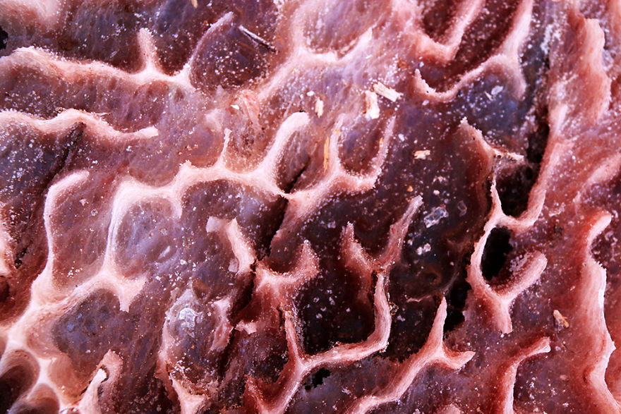 I Traveled To Ancient Region And Saw Amazing Shapes That Made By Salt