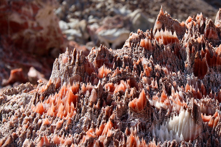 I Traveled To Ancient Region And Saw Amazing Shapes That Made By Salt I Traveled To Ancient Region And Saw Amazing Shapes That Made By Salt