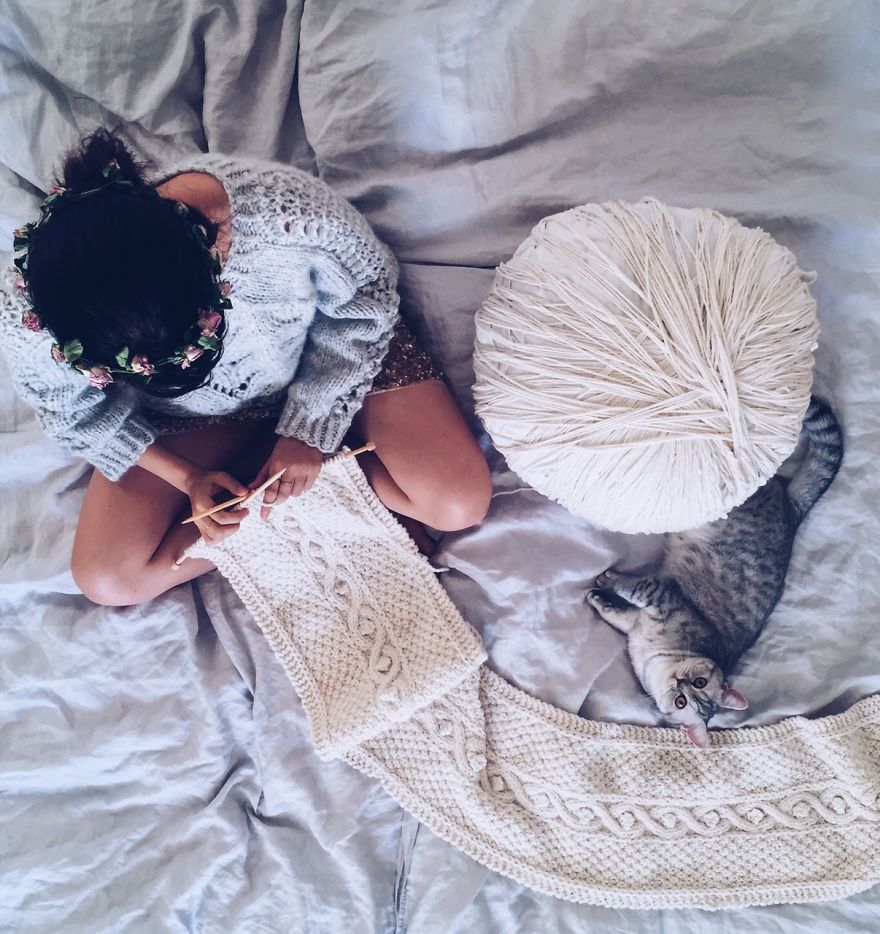 How To Get A Cat To Pose In Front Of The Camera: Start Knitting How To Get A Cat To Pose In Front Of The Camera: Start Knitting