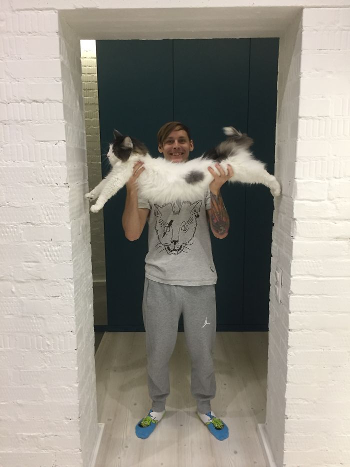 My Catman And Cat "Wolf" Catmade Style ^^