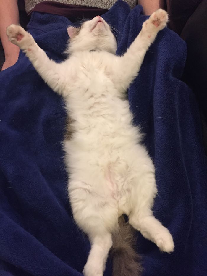 This Is How Pod Sleeps