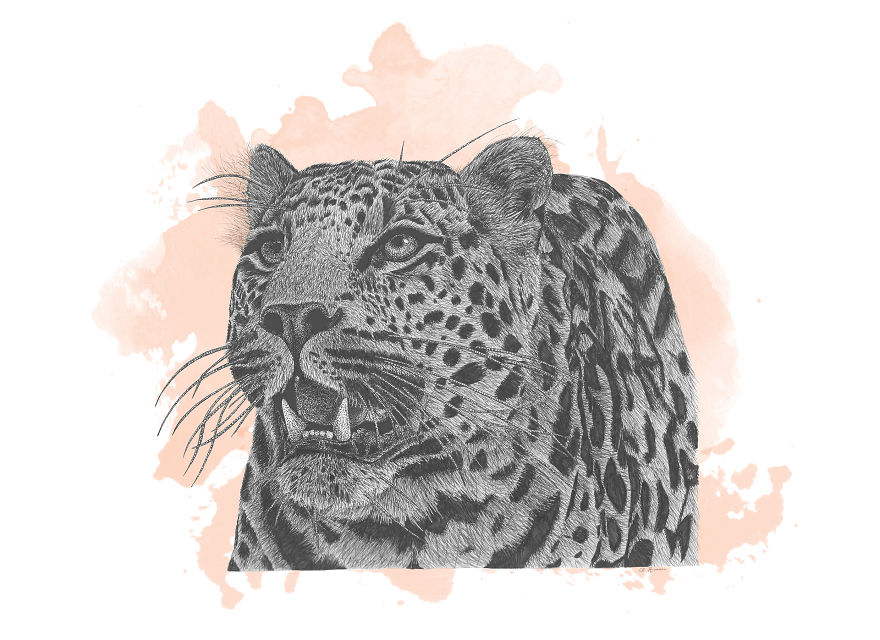 Immortalizing The Most Mortal Of Animals: How I Use My Pen To Keep Species Alive