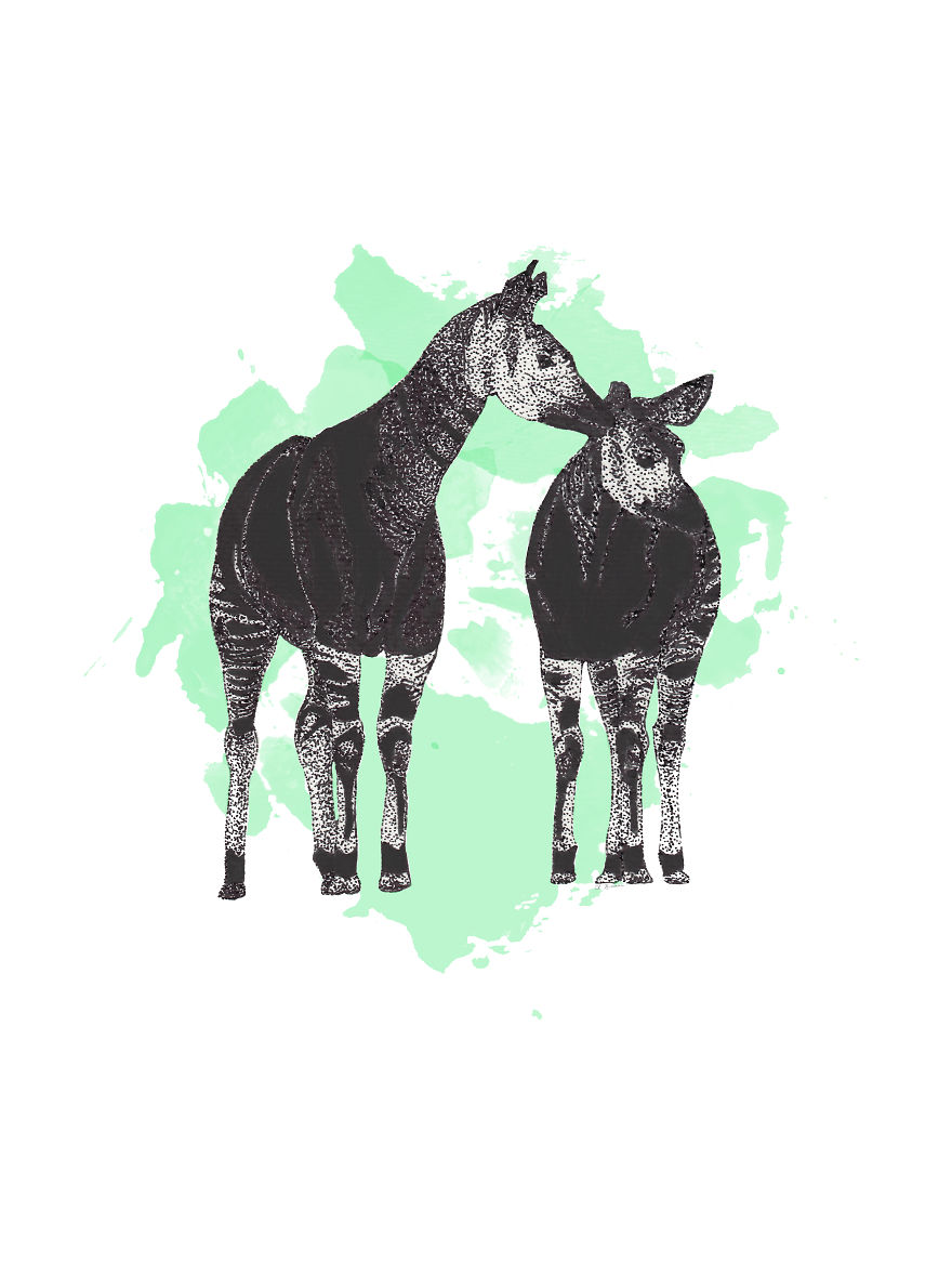 Immortalizing The Most Mortal Of Animals: How I Use My Pen To Keep Species Alive