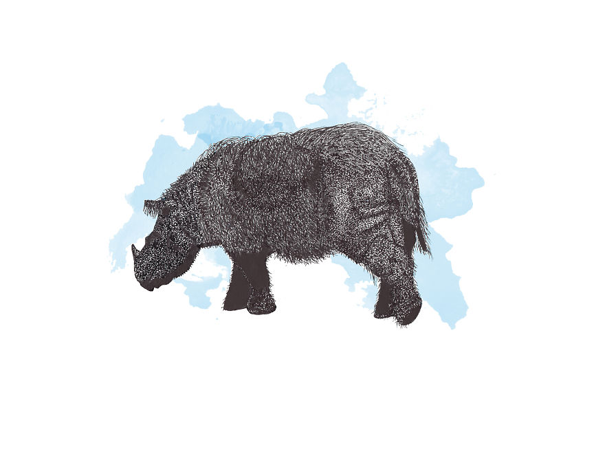 Immortalizing The Most Mortal Of Animals: How I Use My Pen To Keep Species Alive