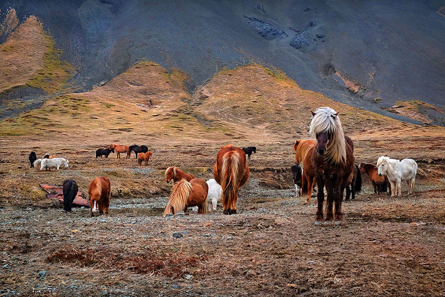 30 Photos Of Unreal Nordic Fairy Tale That I Took During My Trip To Iceland 30 Photos Of Unreal Nordic Fairy Tale That I Took During My Trip To Iceland