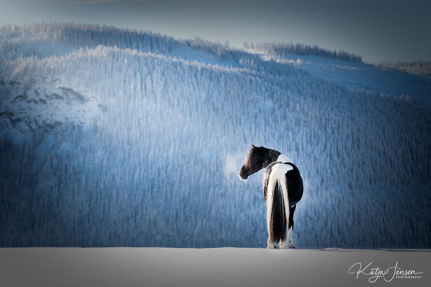 Bringing My Childhood Dreams To Life Bringing My Childhood Dreams To Life