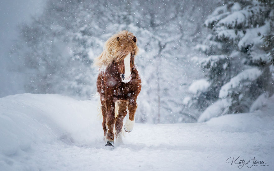 Bringing My Childhood Dreams To Life Bringing My Childhood Dreams To Life