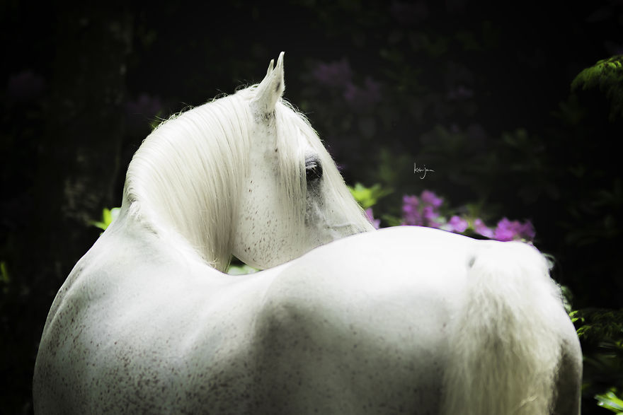 Bringing My Childhood Dreams To Life