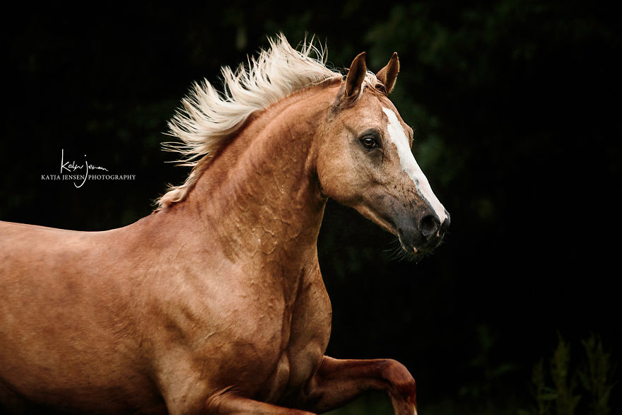 Bringing My Childhood Dreams To Life