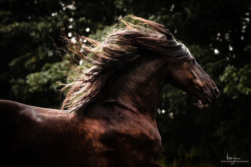 Bringing My Childhood Dreams To Life Bringing My Childhood Dreams To Life