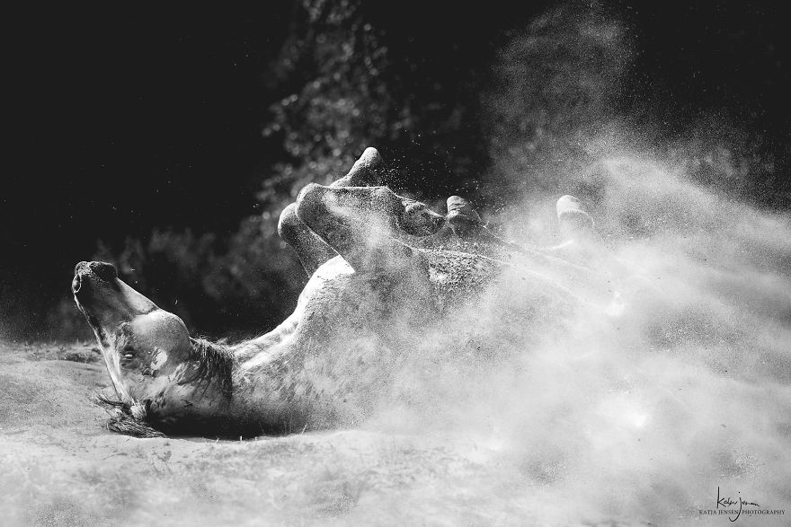 Bringing My Childhood Dreams To Life