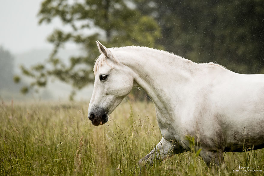 Bringing My Childhood Dreams To Life