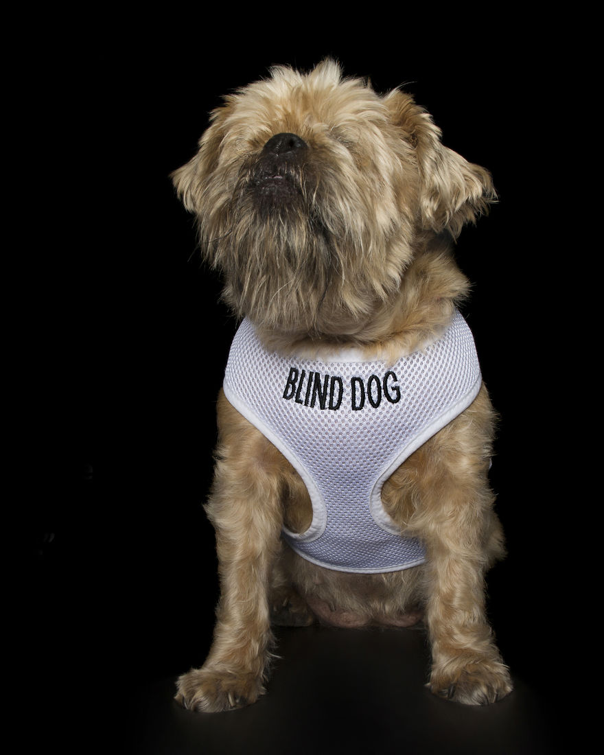 Lady Bug Who Is Blind