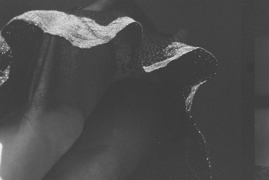 Last Night I Dreamt That Somebody Loved Me Last Night I Dreamt That Somebody Loved Me