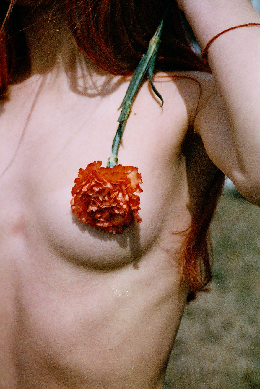 Last Night I Dreamt That Somebody Loved Me Last Night I Dreamt That Somebody Loved Me