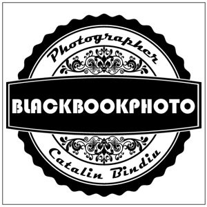 bindiucatalinos avatar