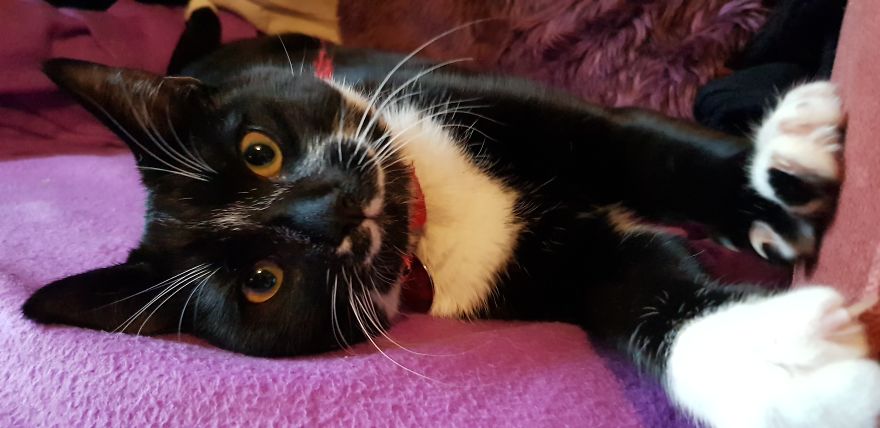 Loki & Thor Loki & Thor