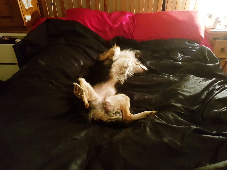 Loki & Thor Loki & Thor