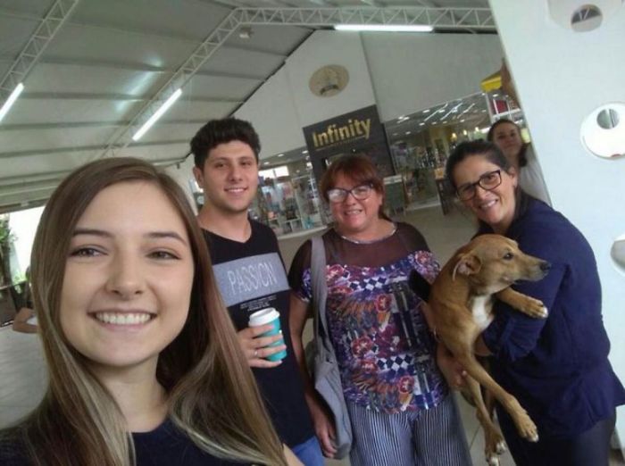 Stray Dog Steals Book From Bookstore, Goes Viral After They Notice Which Book Is Missing