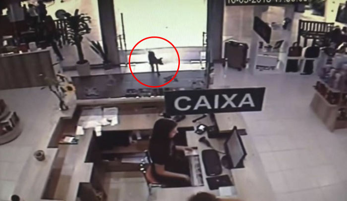 Stray Dog Steals Book From Bookstore, Goes Viral After They Notice Which Book Is Missing Stray Dog Steals Book From Bookstore, Goes Viral After They Notice Which Book Is Missing