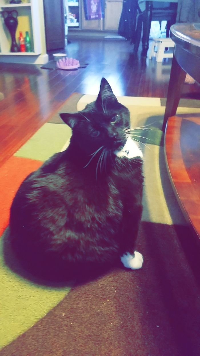 When You Call Him And Just Turns And Looks At You And Then Just Goes To Sleep!