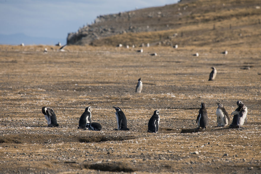 I Realized The Dream Of My Life And I Went To Patgonia