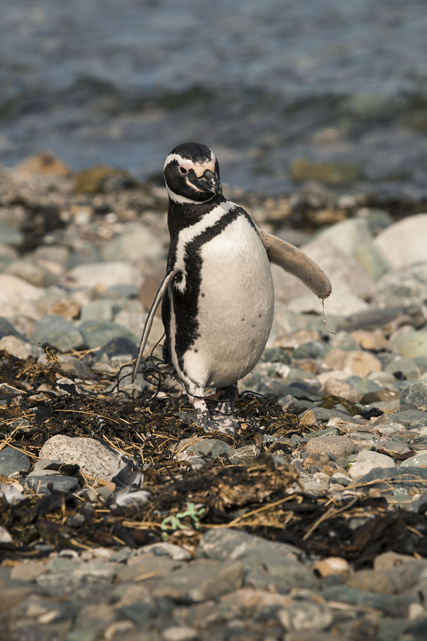 I Realized The Dream Of My Life And I Went To Patgonia