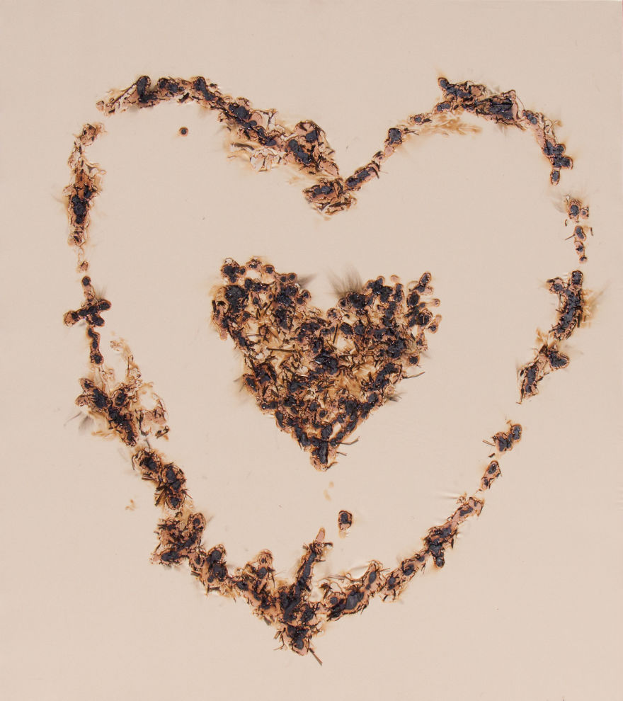 I Used The Power Of Nature To Create These Paintings I Used The Power Of Nature To Create These Paintings