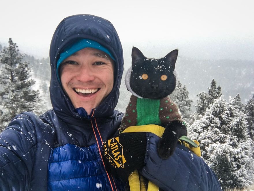 Meet Simon, Who Has Been Traveling With His Human For Two Years