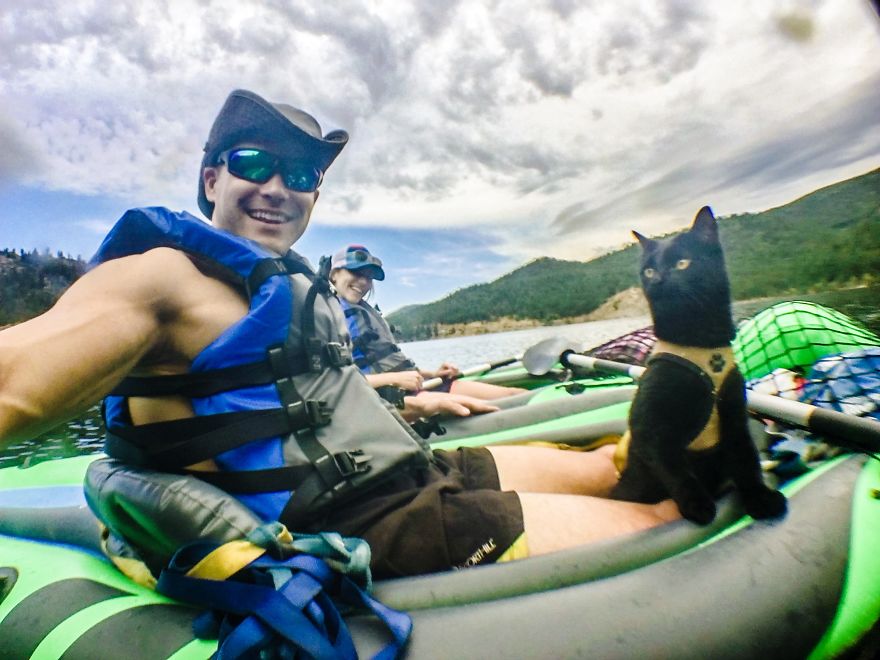 Meet Simon, Who Has Been Traveling With His Human For Two Years